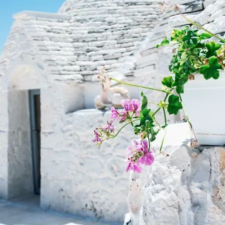 Trulli Olsen & G